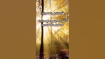 سورة الهمزة❤️القران الكريم