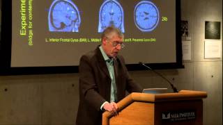 fMRI Study of Architecturally-Induced Contemplative States -- Part 2 (LECTURE)