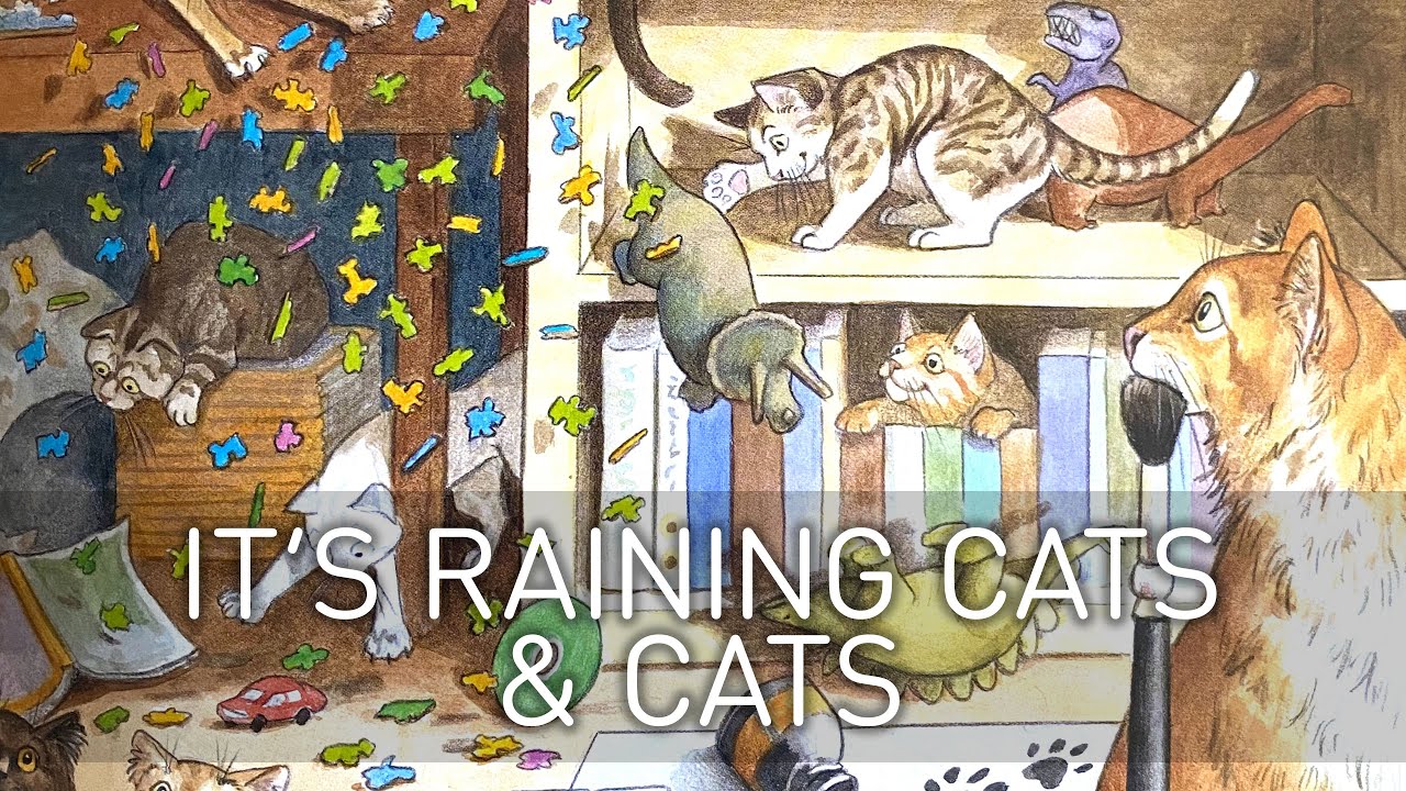Story Time: It's Raining Cats & Cats - YouTube