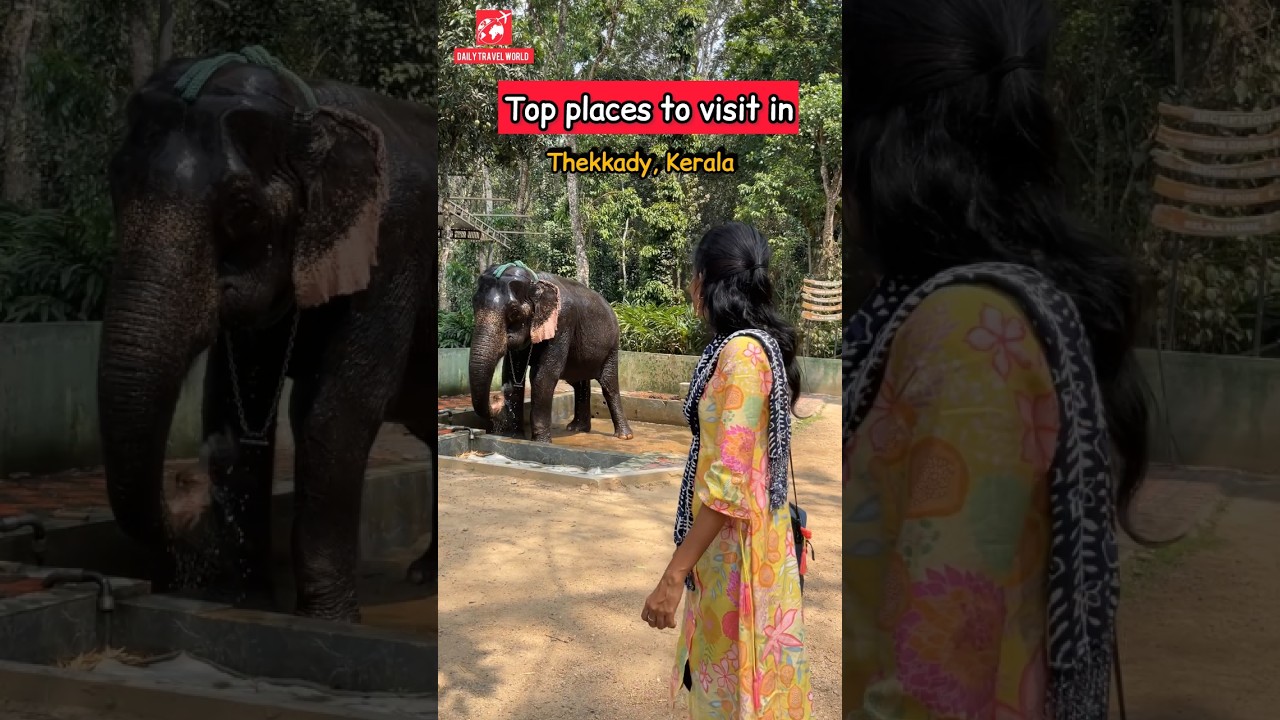 Top Must Visit Places in Thekkady Kerala 