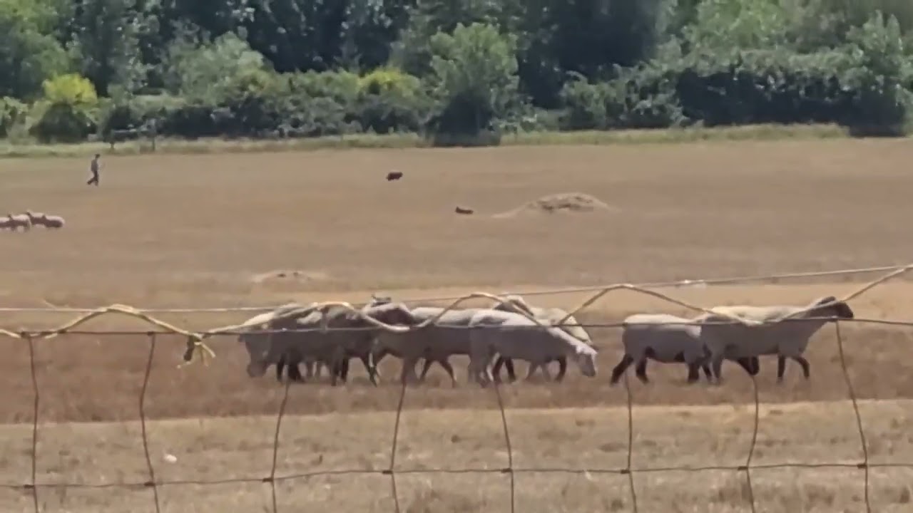 Don ST DL 2023 Outwork