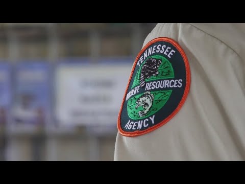 Tennessee Fishing License Cost