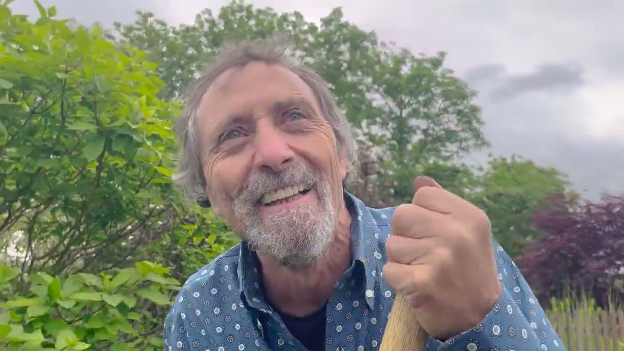 Успехи и неудачи после трансплантации