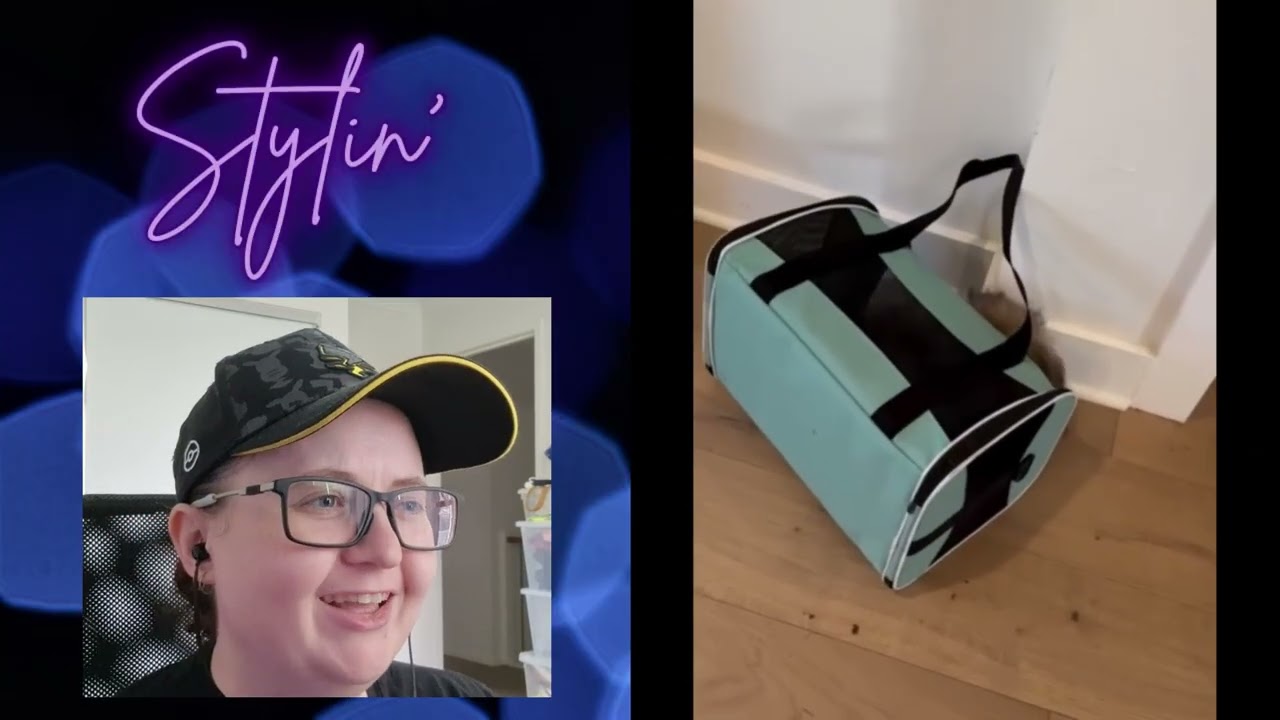 I may be blind, but I can ALWAYS see good doggos. 🐶💕