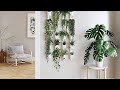 Indoor Plant Decor Ideas | Space Saving Idea