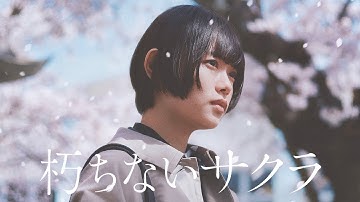 映画『朽ちないサクラ』予告編＜U-NEXTで独占見放題配信中＞