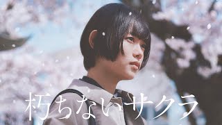 映画『朽ちないサクラ』予告編＜U-NEXTで独占見放題配信中＞