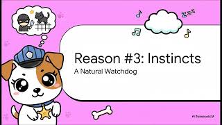 Jack Russell Barking Problem Why Does My JRT Bark So Much Try This FREE Dog Training Course BELOW