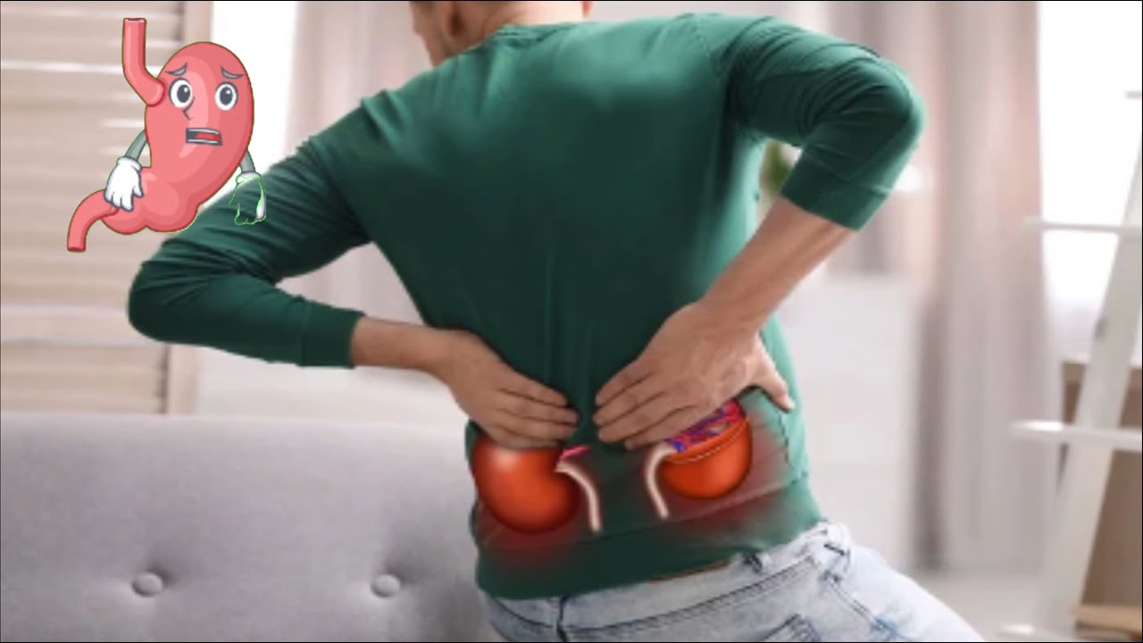 pain on left side of stomach & back region YouTube