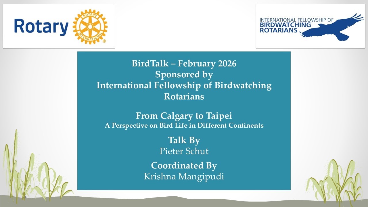 BirdTalk: From Calgary to Taipei - A perspective on birdlife on different continents