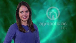 AGRONOTICIAS sie7e PROGRAMA 63