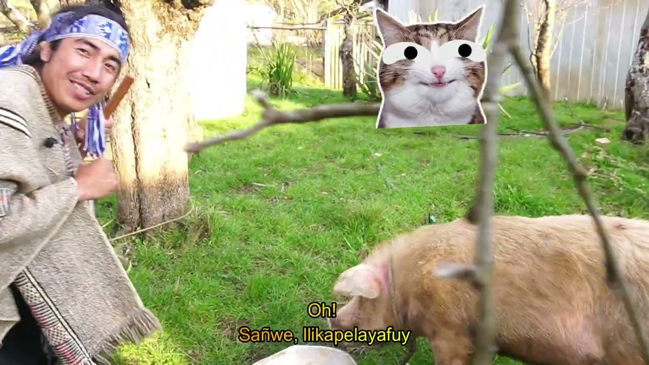 5.  Kintuyawulün sañwe (buscando el cerdo). Video educativo en mapuzugun.