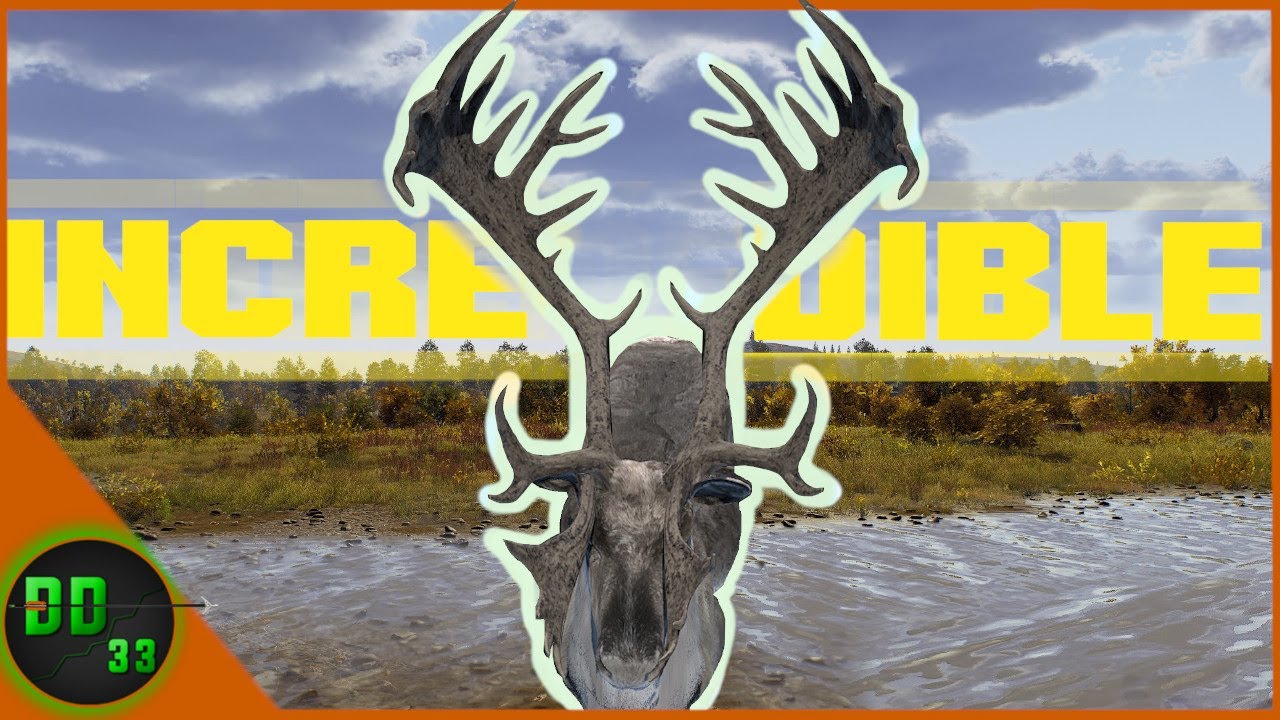 Exploring New Territories Gave Us Our Biggest Bull Reindeer! Way Of The Hunter