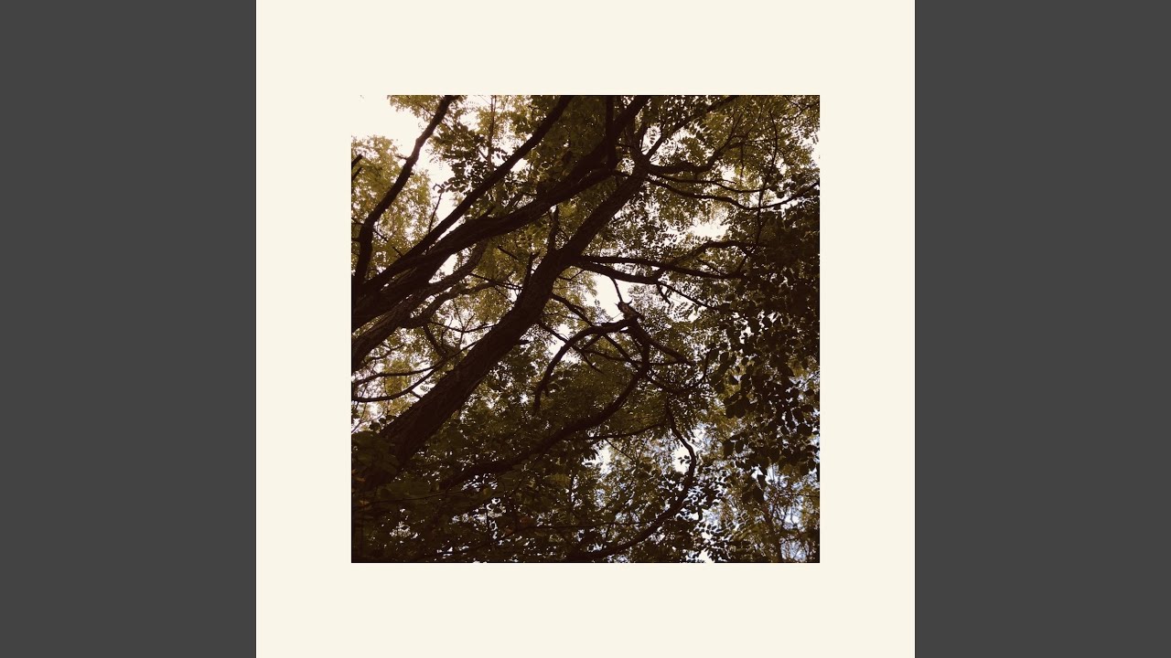 Watch Fall on YouTube Watch Fall on YouTube