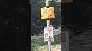 Missing cat or free  Kittens....Coincidence??