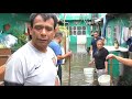 LLUVIAS MEXICO