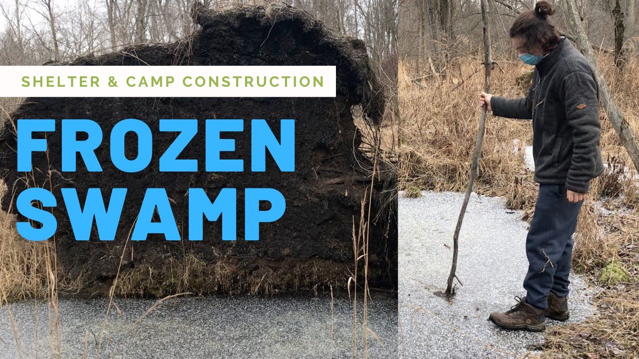 Exploring a Frozen Swamp