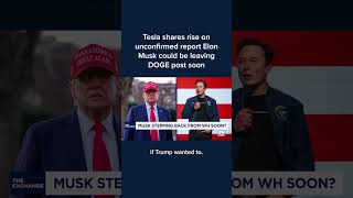Tesla shares rise on unconfirmed report Elon Musk could be leaving DOGE post soon