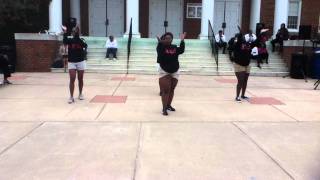 Pi Mu Chapter Delta Sigma Theta Sorority, Inc.