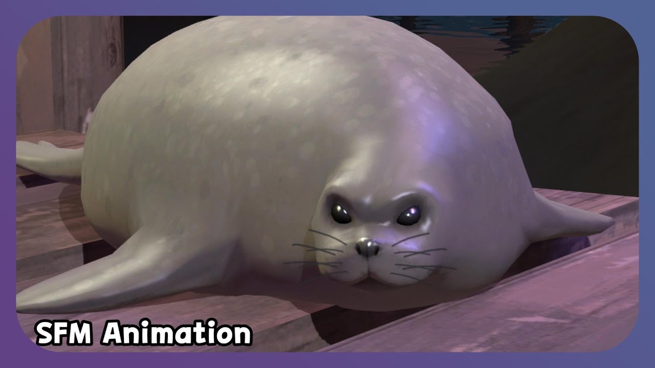Seal fight [SFM Animation]