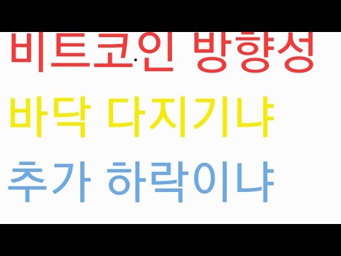   비트코인캐시에이비씨 비캐똥 세럼 웨이브 엑시인피니티 보라 솔라나 샌드박스 비트코인 방향성으로 결정난다