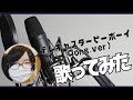 【歌ってみた】テレキャスタービーボーイ(long.ver)/すりぃfeat.鏡音レン【みか】