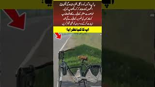 Amazing Optical Illusion! Can You See The Kaaba?  #shorts #fyp #islamicshorts #pakistan