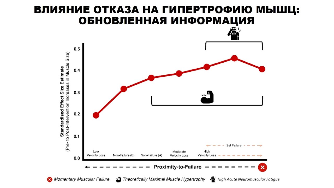 ВЛИЯНИЕ ОТКАЗА НА ГИПЕРТРОФИЮ МЫШЦ: ОБНОВЛЕННАЯ ИНФОРМАЦИЯ