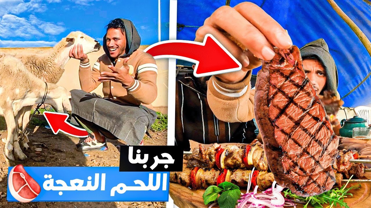 وثائقي:جولة طعام شوارع في سوق شعبي بالمغرب🇲🇦ساعة من المغامرة المجنونة جربنا لحم النعجة غير معروفة