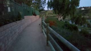 bun bun on the trail