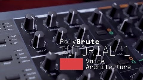Tutorials | PolyBrute - Episode 1: Voice Architecture