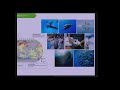 SOS océanos: un espacio operativo seguro para ecosistemas marinos impactados - Francisco Ramírez