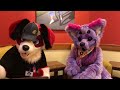 End of video