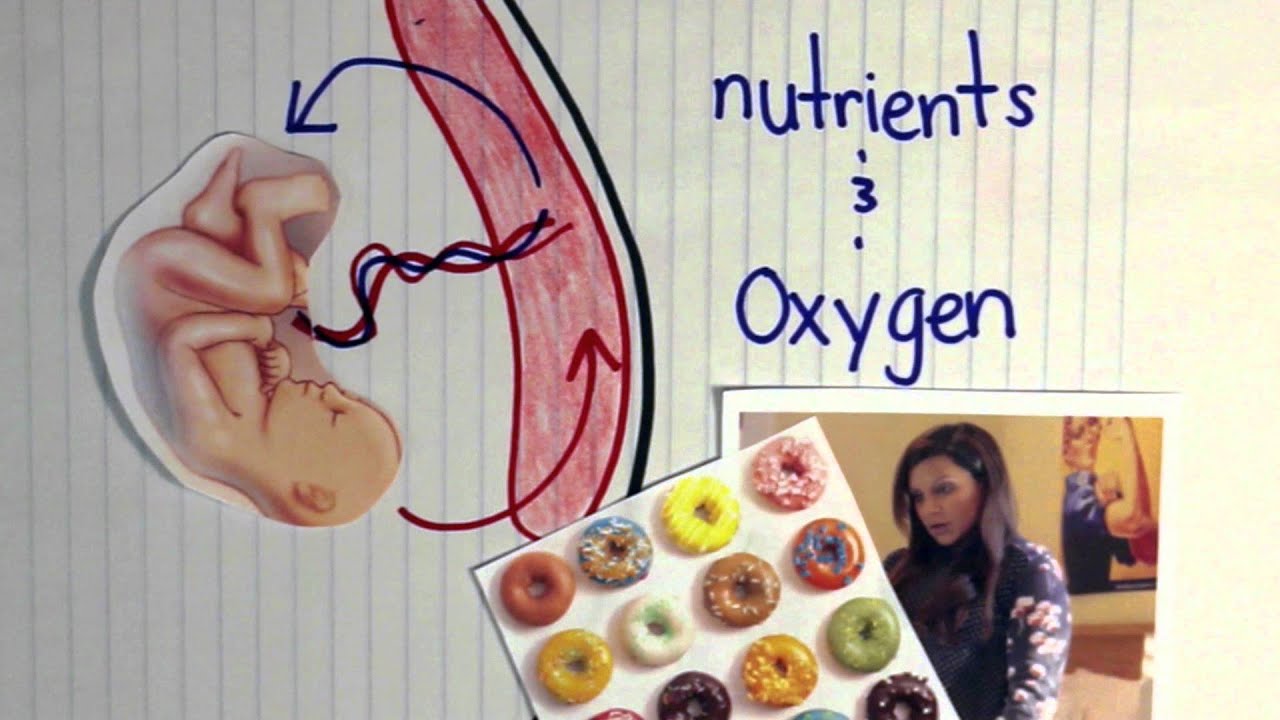 Nutrition for preterm babies