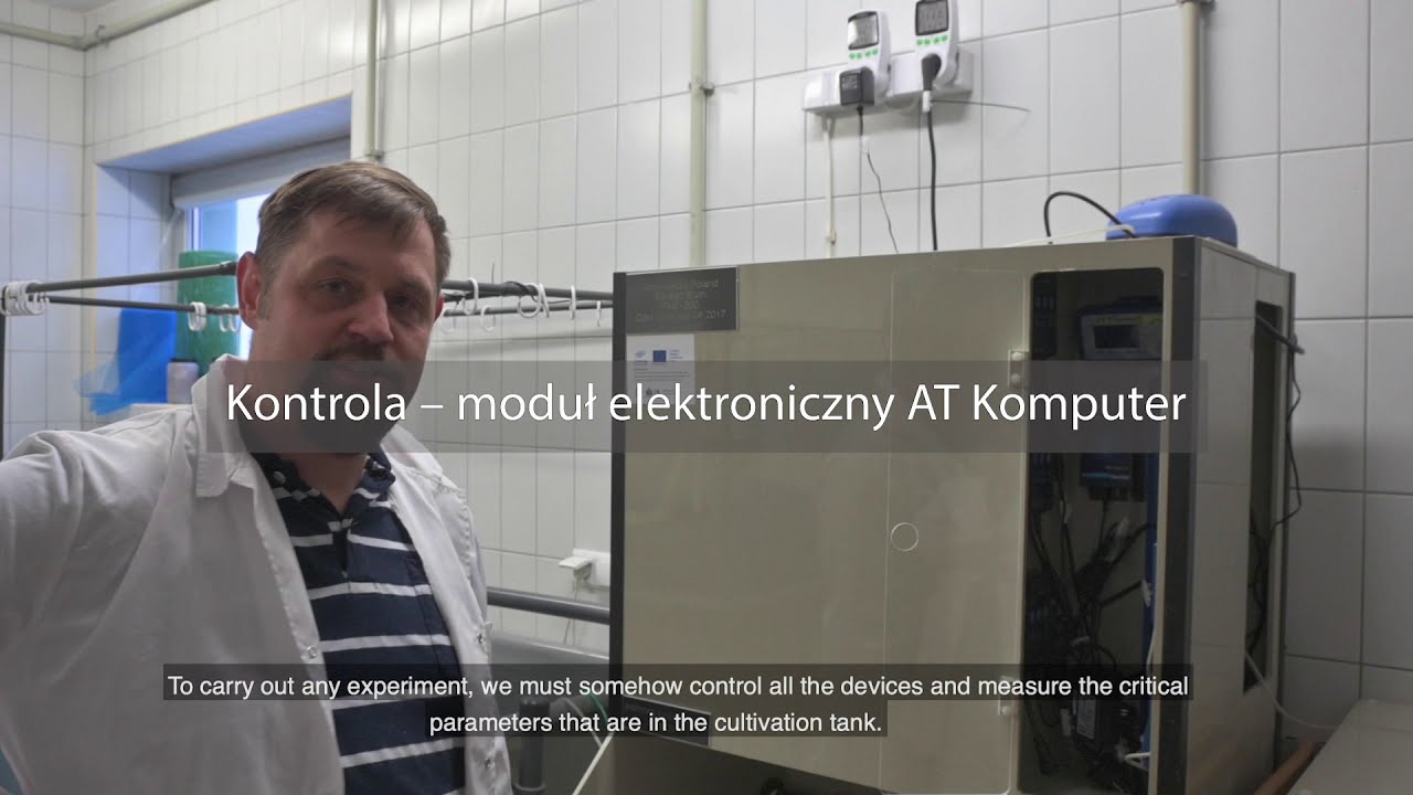 Technologia recyrkulacji wody, zestaw laboratoryjny RAS 500 do hodowli krewetki Litopenaeus vannamei