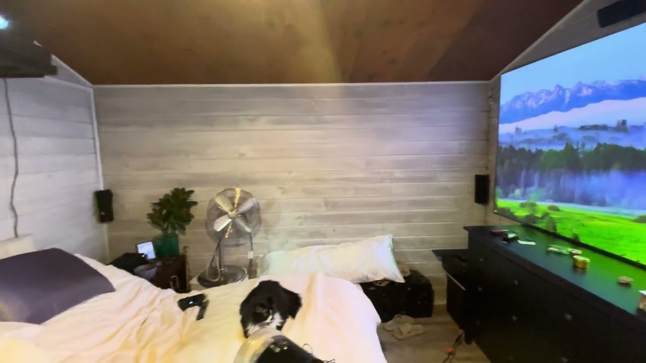 Valerion Visionmaster Pro 2 daytime viewing w/fresnel screen