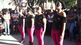 The Spellbinding Psi Beta Chapter of Sigma Lambda Gamma New Member Presentation