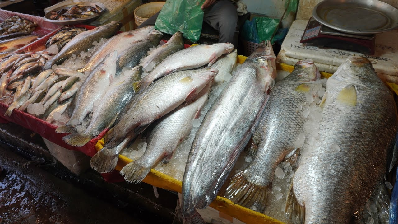 Amazing Site Distributes SeaFood & Fish market in Bangladesh!!!By