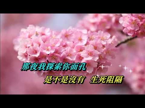 一千個春天〈華語〉蔡琴‧李建復〈歌手演唱版〉