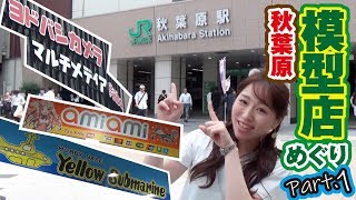 これがプラモ充！！《秋葉原模型店めぐり①》ヨドバシカメラ→あみあみ→イエローサブマリン編