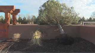 New Mexico family repairing damage left behind by back-to-back winter storms