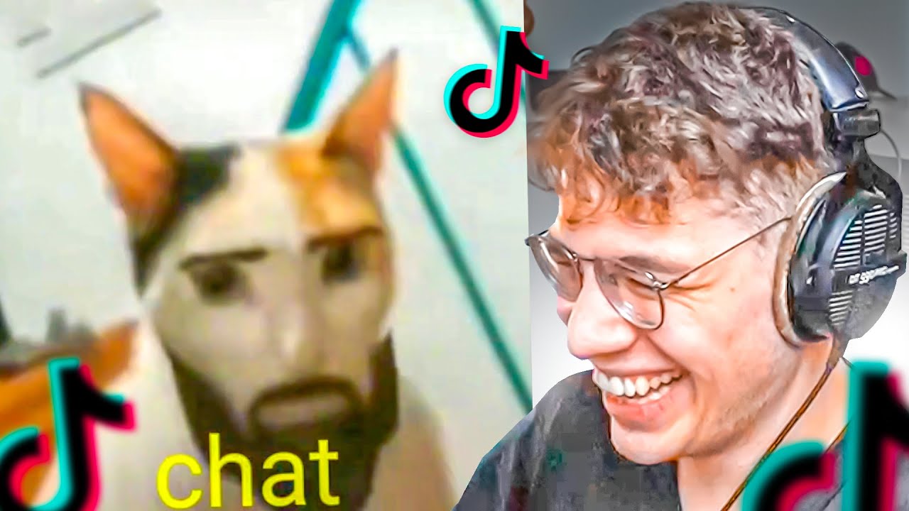 el gato chad de tiktok