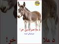 دملا نصرالدین خر لنډه جالبه او خوندوره کیسه Donkey Of Mula Nasruddin 