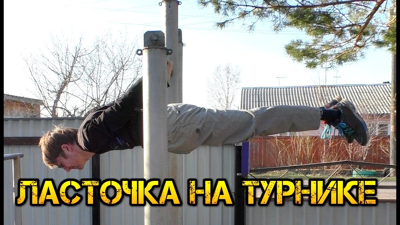 Ласточка на газель