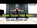 XINH TƯƠI VIỆT NAM - DÂN VŨ TT ĐỒNG DIỄN / Leo demo (BÀI HƯỚNG DẪN BẤM▶️)