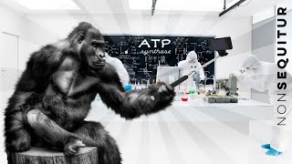 Science + Biology + Evolution + Creation + Intelligent Design = ATP