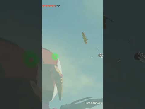 Oh dude he didn't want to die #switch #zelda #tearsofthekingdom #totk #bird #fail #fart #viral