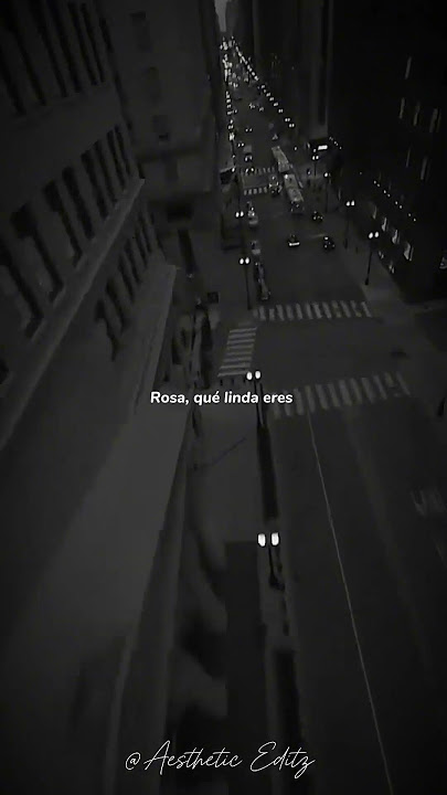 Sevdaliza- ALIBI (lyrics) | 'rosa que linda eres' | #shorts #trending #tiktok