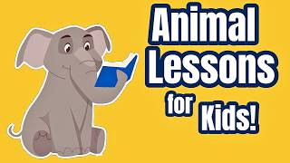 Animal Lessons for Kids | Learn About Land and Sea Animals