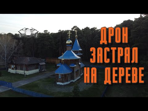 Дрон упал на дерево и застрял | DJI Mini 2 | Спасение квадрокоптера | Family Sea